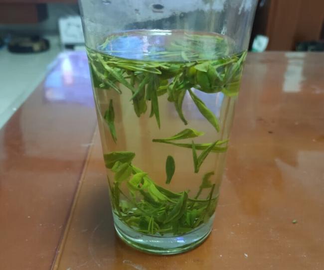 臨安特產天目青頂茶怎么樣，杭州天目云霧茶圖片簡介
