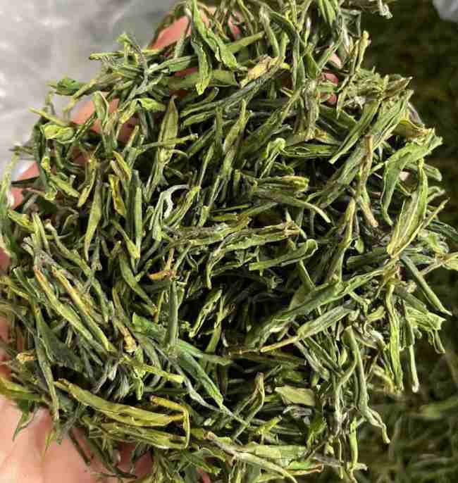 臨安特產天目青頂茶怎么樣，杭州天目云霧茶圖片簡介