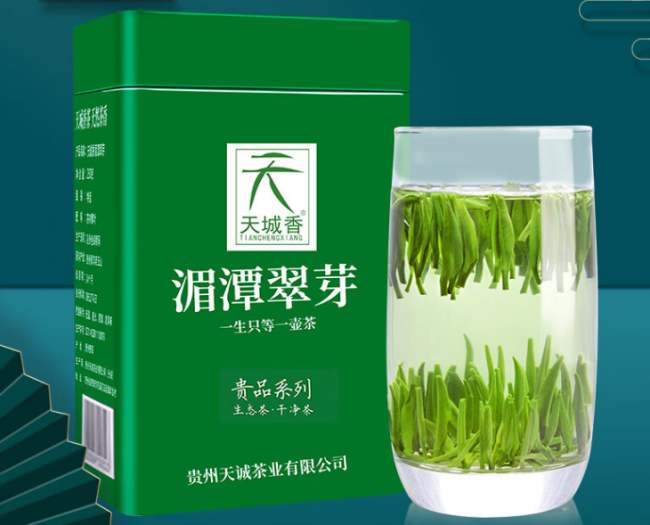 貴州特產湄潭翠芽茶怎么樣，遵義茗茶湄潭翠芽茶圖片簡介