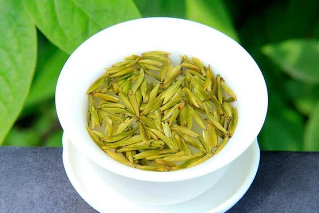 四川蒙頂黃芽怎么樣，黃茶蒙頂黃芽茶圖片簡介