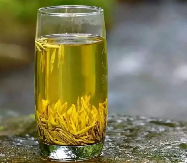 湖北遠安黃茶怎么樣，茗茶遠安黃茶圖片簡介