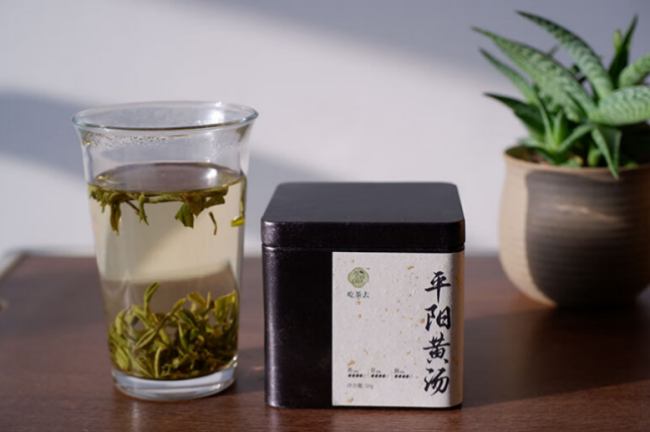 浙江平陽黃湯茶怎么樣，溫州平陽黃湯茶圖片簡介