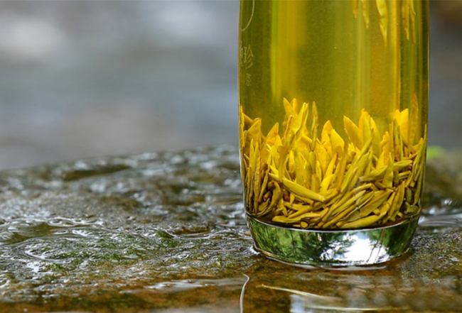 平陽黃湯茶屬于什么茶，浙江平陽黃湯歷史由來簡介