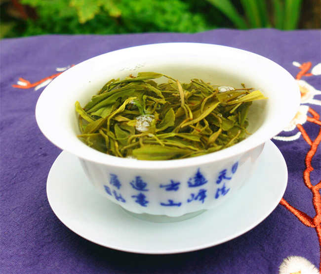 黃茶廣州大葉青怎么樣，廣州大葉青圖片簡介