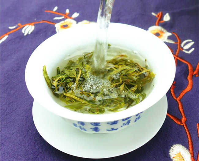 黃茶廣州大葉青怎么樣，廣州大葉青圖片簡介