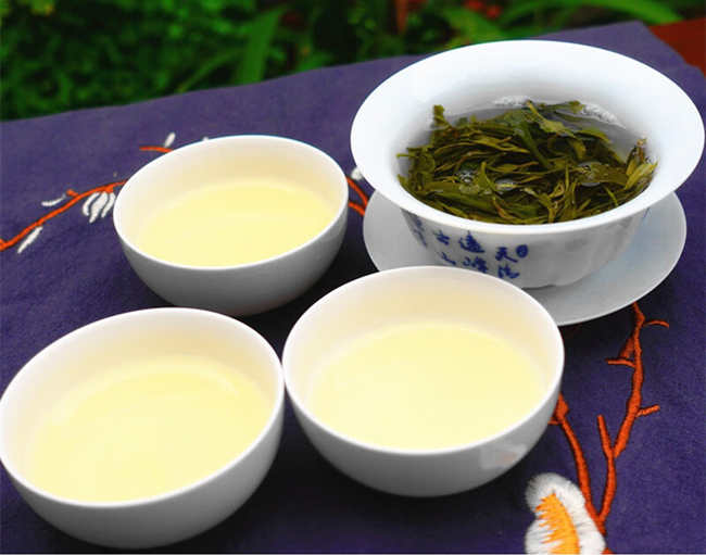 廣東大葉青茶保存方法，大葉青茶怎么儲存好