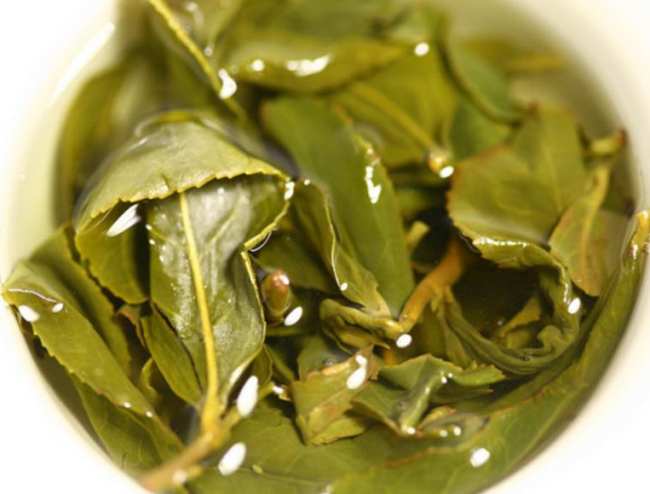 臺灣金萱烏龍茶屬于什么茶，阿里山金萱烏龍茶歷史由來簡介