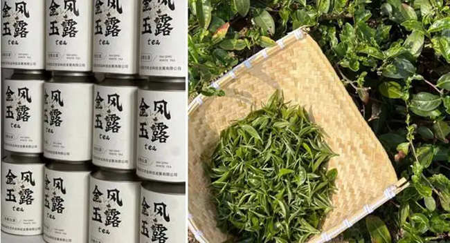 青島首屆白茶茶王賽舉行，海青茶斬獲多項大獎