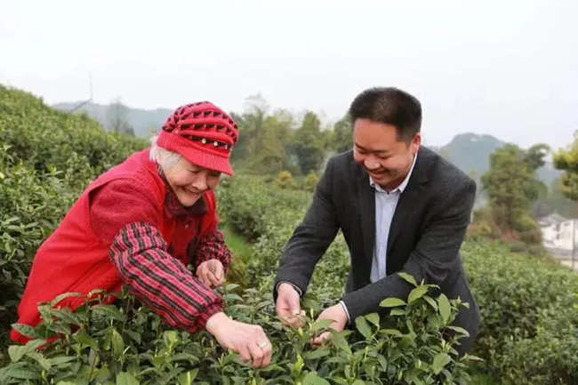 【大竹白茶】廖紅軍：做白茶產業發展的尖兵