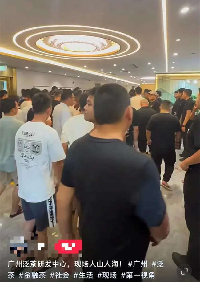 一紙公告宣布泛茶崩盤:上萬元的金融茶淪為茶葉蛋參與者咎由自取!