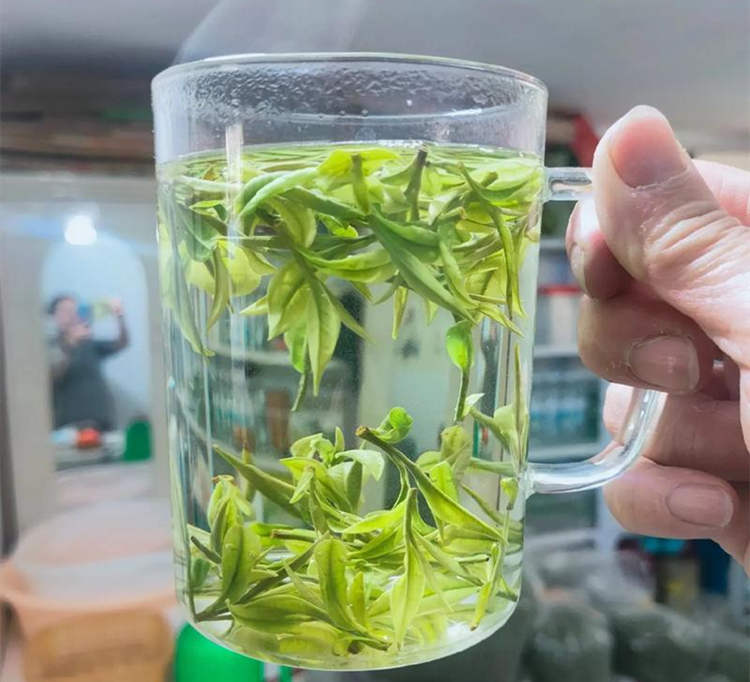 安吉白茶放冰箱冷藏還是冷凍好，安吉白茶怎么保存呢？