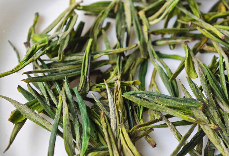 浙江安吉白茶屬于什么檔次,安吉白茶是什么顏色