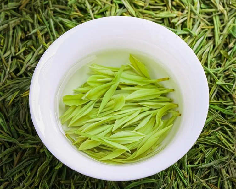 安吉白茶是什么茶葉做的，正宗安吉白茶怎么區分