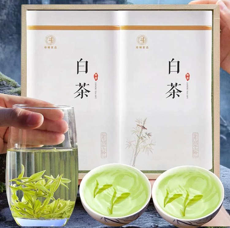 安吉白茶和福鼎白茶的區別在哪里