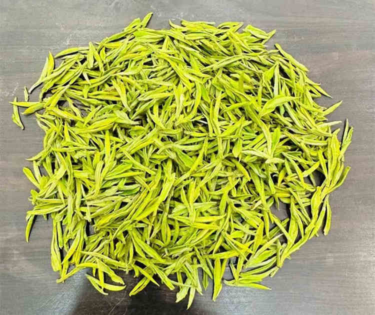安吉白茶產地哪里的最正宗，哪里的安吉白茶口感最好