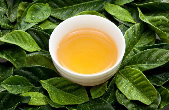 ??茶葉水可以給植物澆水嗎，??茶葉水澆花可以嗎