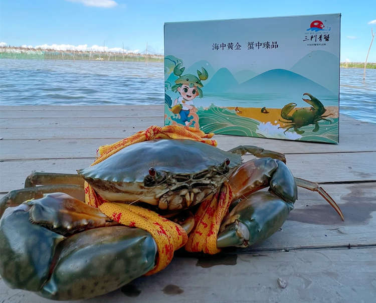 ??臺州三門青蟹怎么樣，??浙江三門青蟹圖片土特產簡介