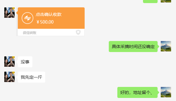 2025年安吉白茶第一筆訂單