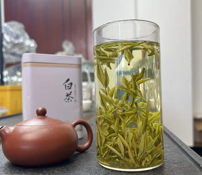 原產地大山塢安吉白茶價格，大山塢白茶價格