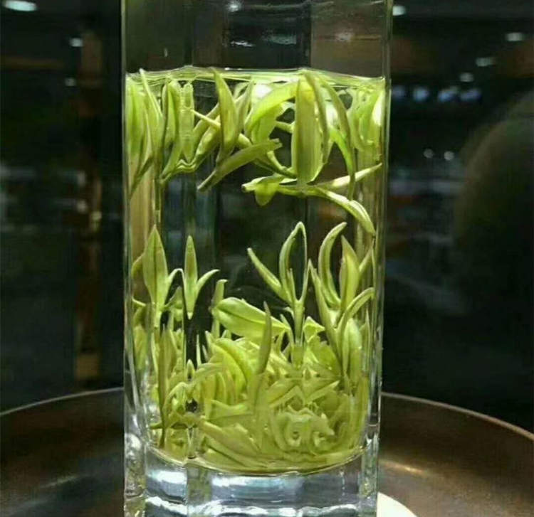 溪龍仙子安吉白茶價格多少錢一斤，溪龍仙子安吉白茶品牌