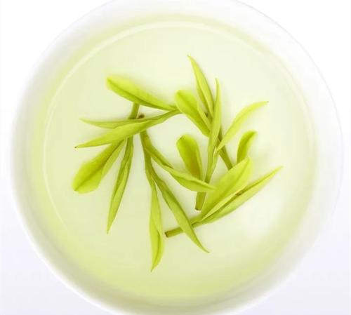 安吉白茶為什么叫白茶，安吉白茶屬于綠茶嗎？