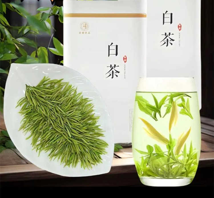 安吉白茶泡茶一次放多少克，湖州安吉白茶怎么泡好喝