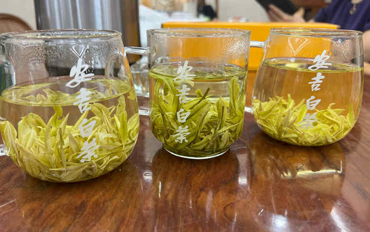 安吉白茶蓋碗沖泡方法步驟技巧