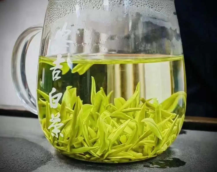 浙江安吉白茶的作用和功效與作用簡介