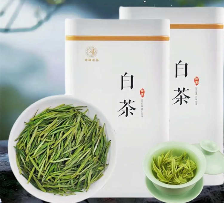 安吉白茶制茶屬于什么工藝，安吉白茶茶樹品種