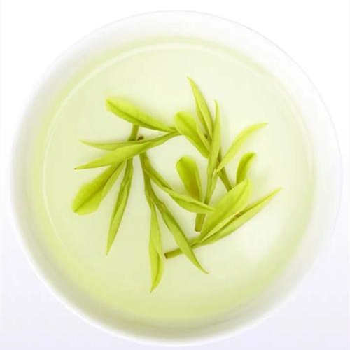 安吉白茶屬于綠茶嗎，安吉白茶不是白茶