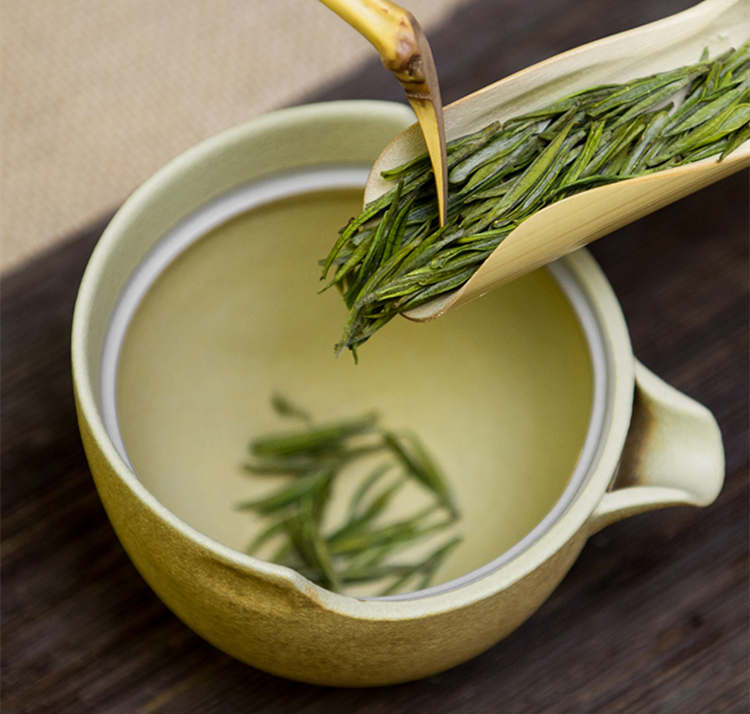 安吉白茶味道為什么那么淡，安吉白茶口感是怎樣的