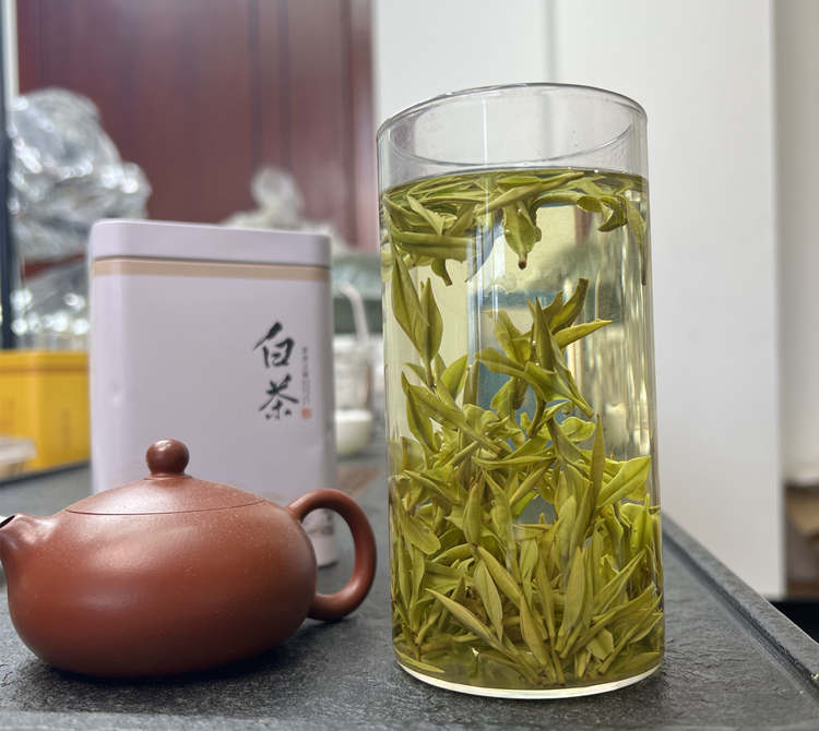 安吉白茶為什么這么貴，安吉白茶價格多少