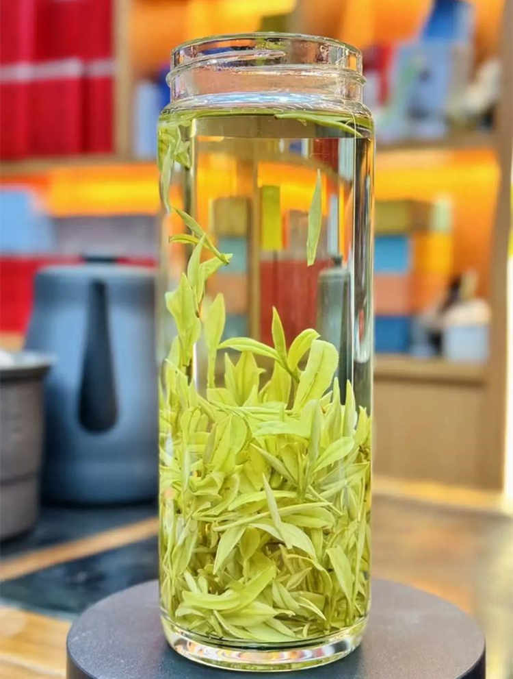 安吉白茶和奶白茶的區別有哪些