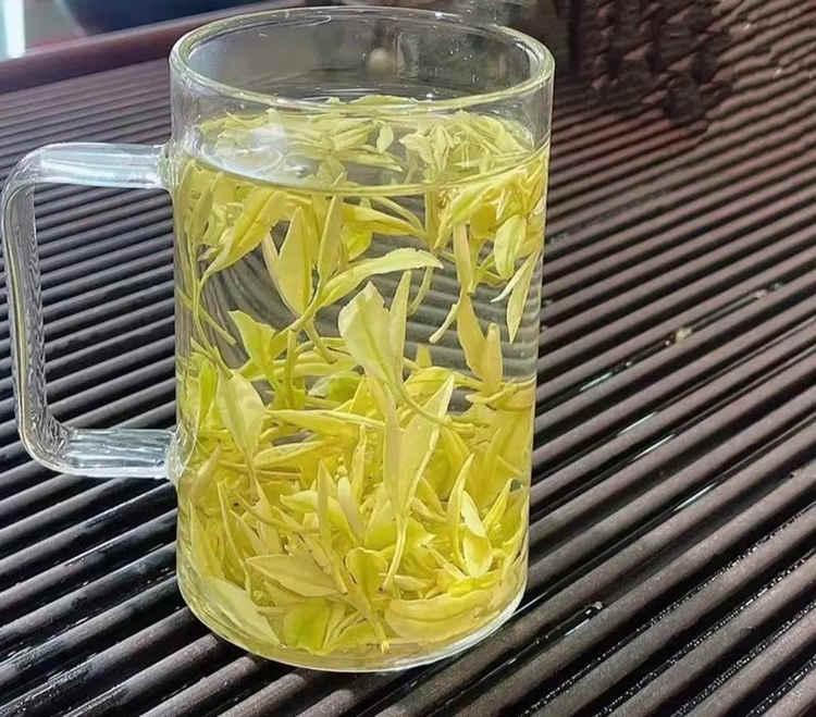 安吉奶白茶【皇金芽】簡介