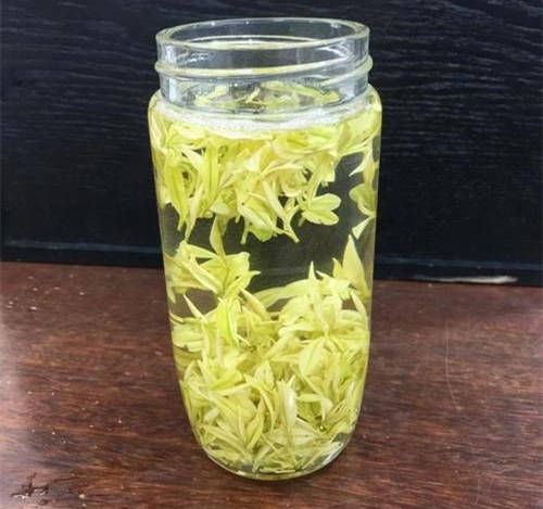 安吉奶白茶的功效與作用簡介