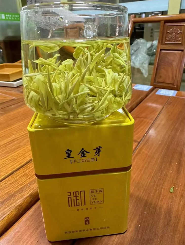 奶白茶是什么茶,安吉皇金芽屬于什么茶