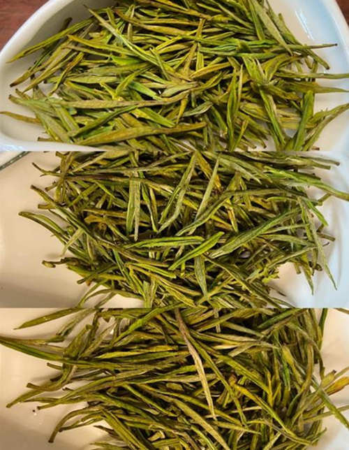 正宗安吉白茶干茶是什么顏色