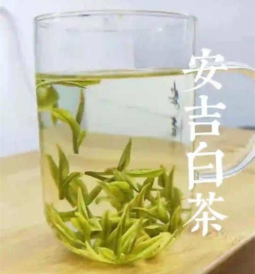 安吉白茶茶湯是什么顏色
