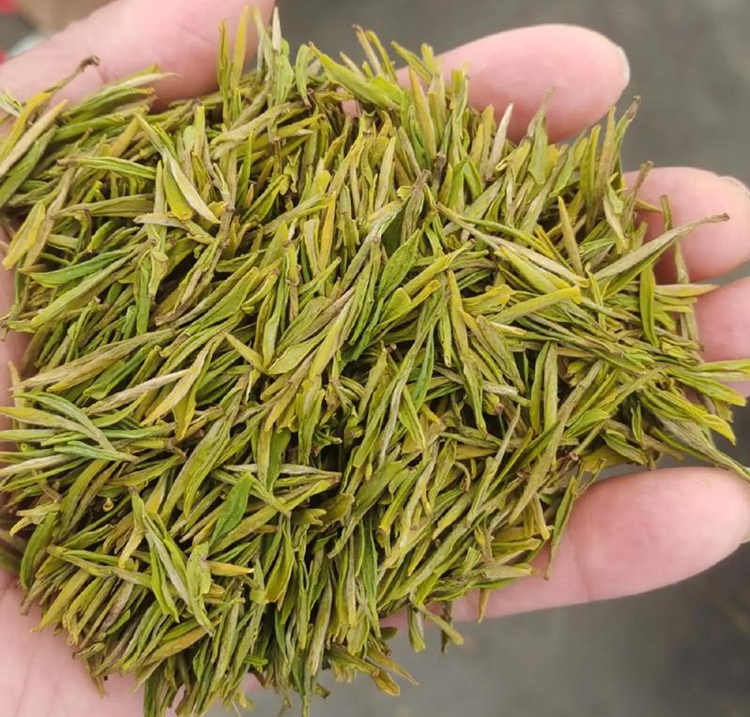 安吉白茶怎么保存最好，安吉白茶干茶儲存方法