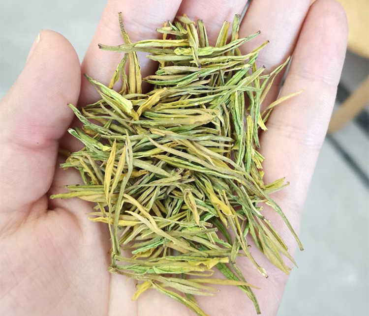 正宗安吉白茶怎么區別等級