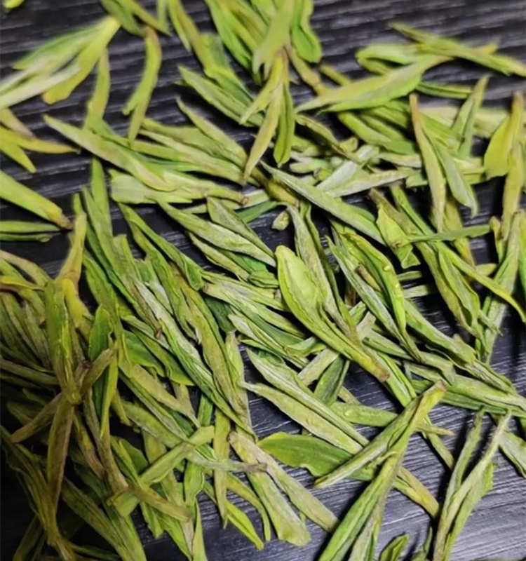 安吉白茶怎么辨別檔次，安吉白茶等級劃分方法