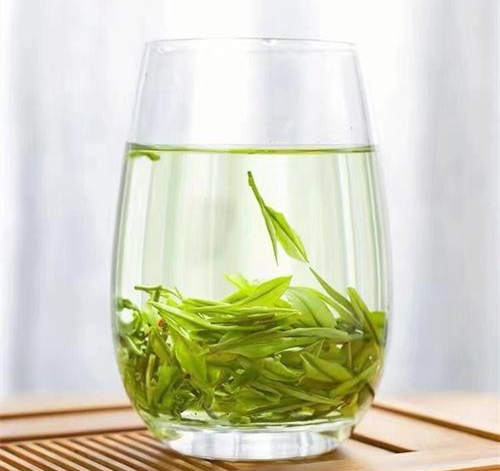 女人喝安吉白茶的好處有哪些