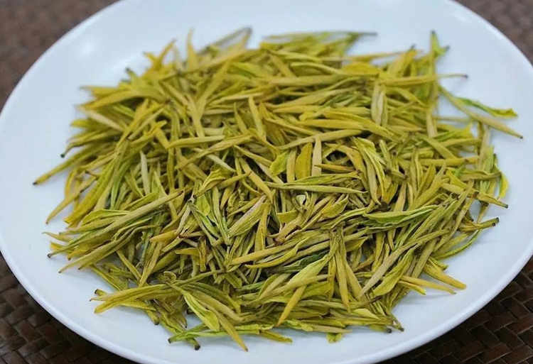 安吉皇金芽新茶什么時候采摘上市