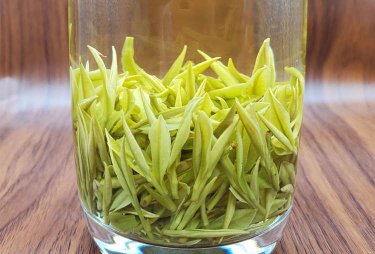 安吉皇金芽怎么沖泡好喝