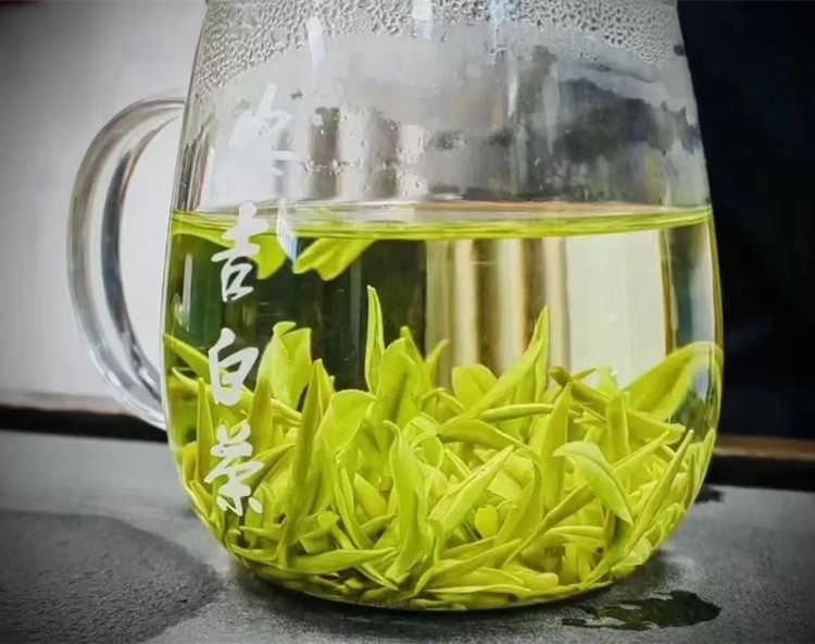 一般安吉白茶價格多少一斤