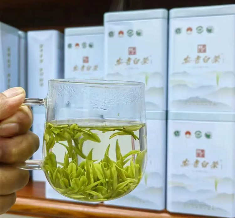 安吉白茶的保質期限是多久