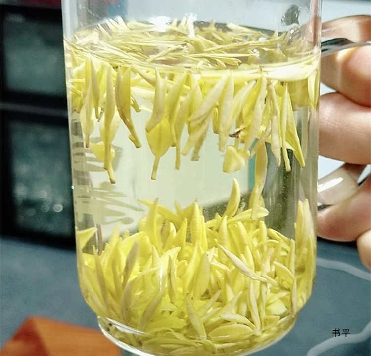 安吉奶白茶適合什么人喝，安吉皇金芽喝茶禁忌