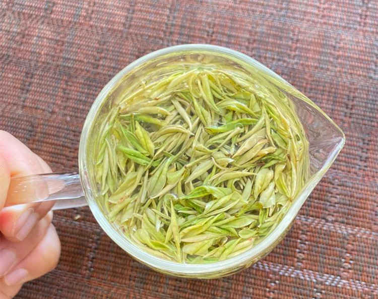 安吉奶白茶簡介和特點有哪些