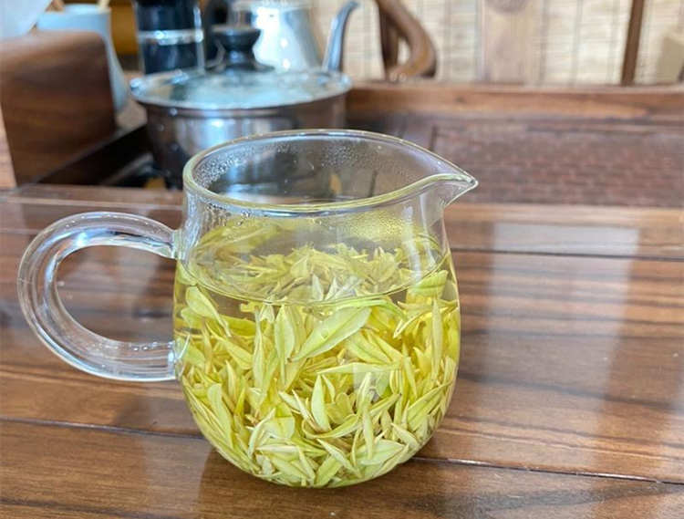 安吉奶白茶的口感特點介紹