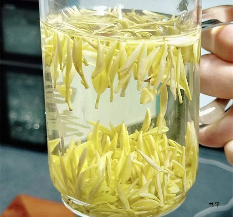 安吉皇金芽茶葉價格一般多少一斤